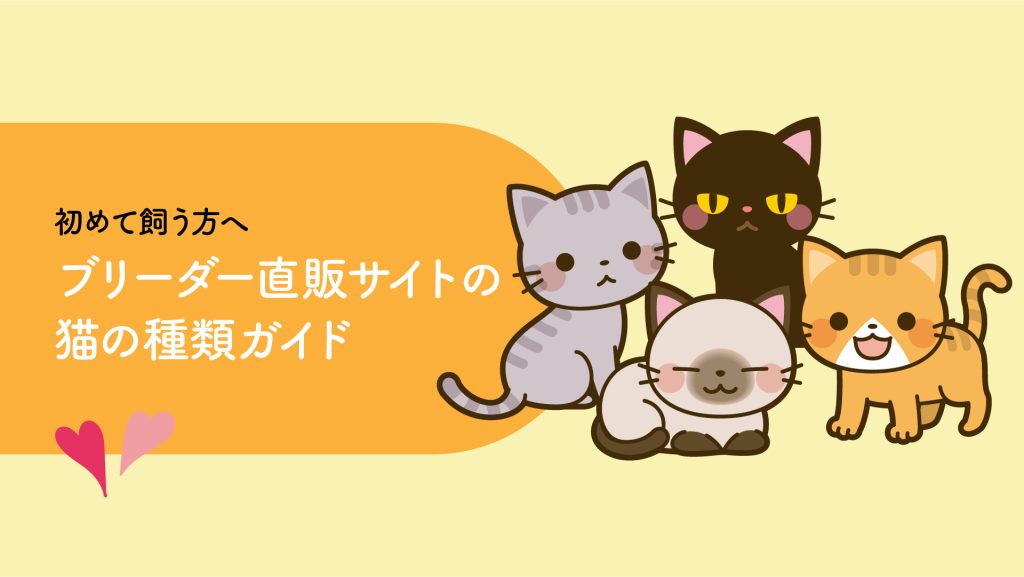 ブリーダー直販サイトの猫の種類ガイド