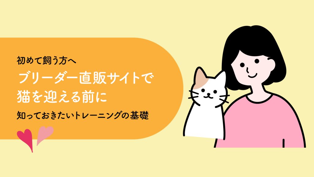 ブリーダー直販サイトで猫を迎える前に知っておきたいトレーニングの基礎